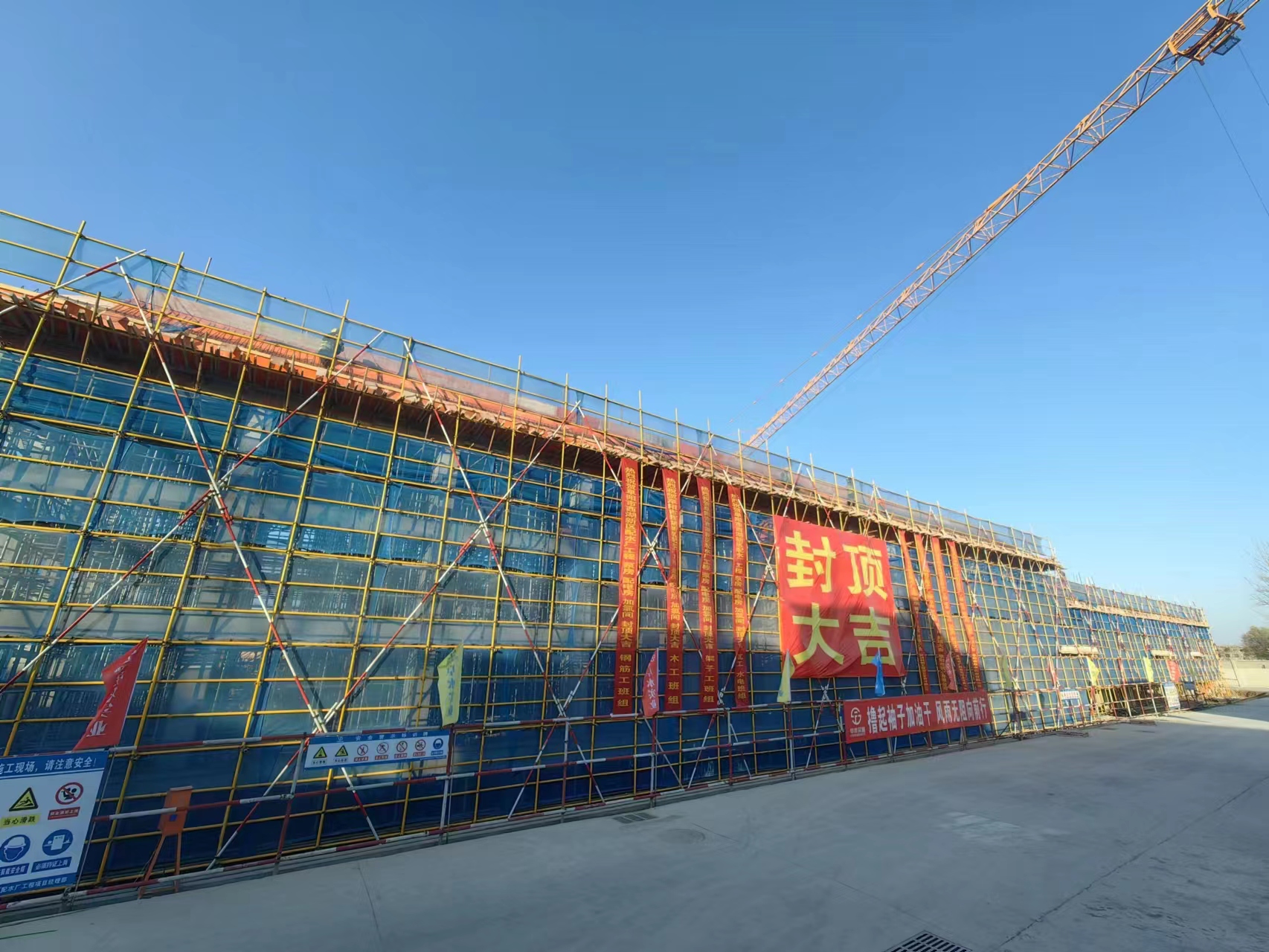 1702001877a572964.jpg 1702001877a572964.jpg